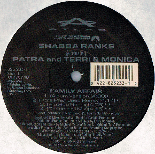 Shabba Ranks Featuring Patra And Terri & Monica : Family Affair (12", Maxi)