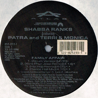 Shabba Ranks Featuring Patra And Terri & Monica : Family Affair (12", Maxi)