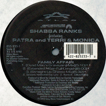 Shabba Ranks Featuring Patra And Terri & Monica : Family Affair (12", Maxi)