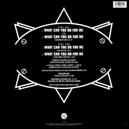 Utah Saints : What Can You Do For Me (12", Single)