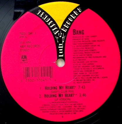 Bang (2) : Holding My Heart (12")