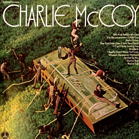 Charlie McCoy : Charlie McCoy (LP, Album)