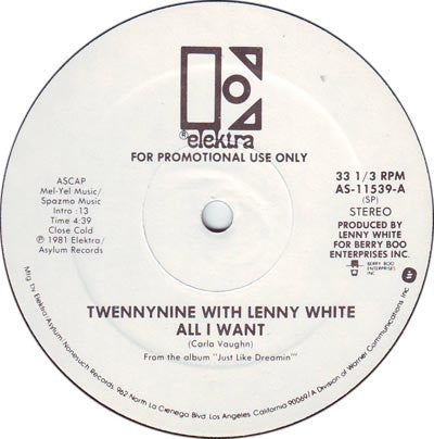 Twennynine With Lenny White : All I Want (12", Promo)