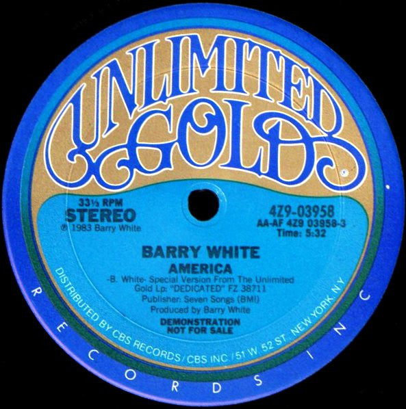 Barry White : America (12", Promo)