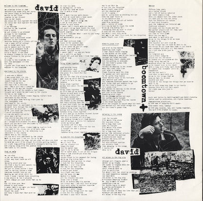 David + David : Boomtown (LP, Album, Ind)
