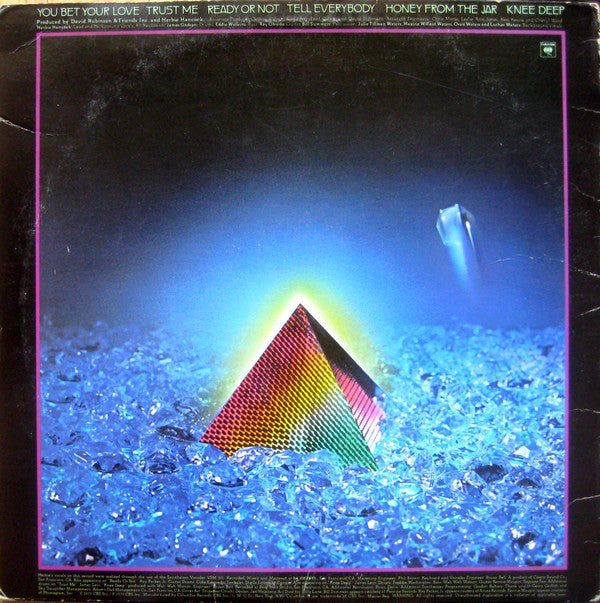 Herbie Hancock : Feets Don't Fail Me Now (LP, Album, Pit)