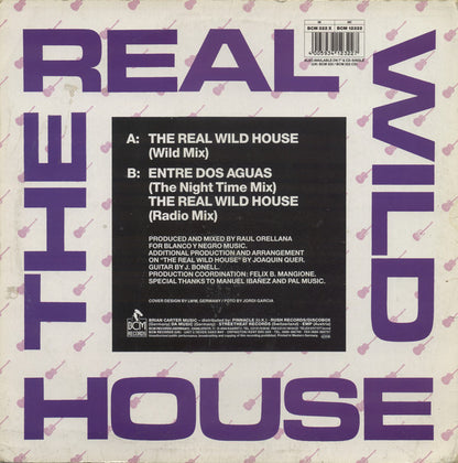 Raúl Orellana : The Real Wild House (12", Single)