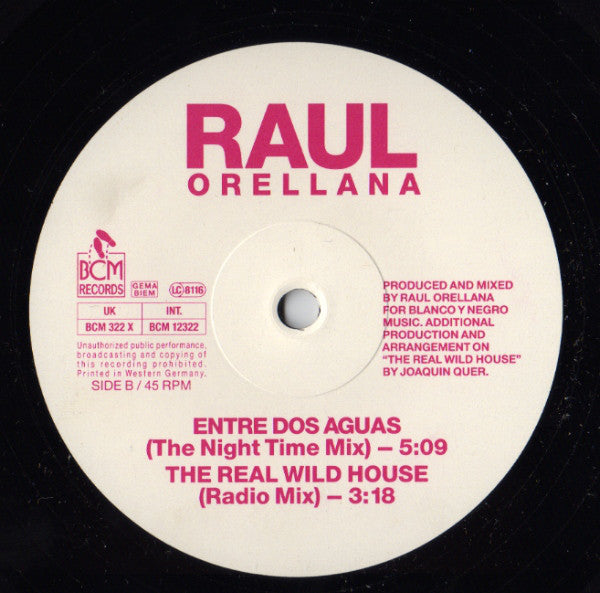 Raúl Orellana : The Real Wild House (12", Single)