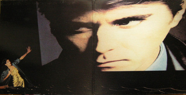 Bryan Ferry : The Bride Stripped Bare (LP, Album, Mon)