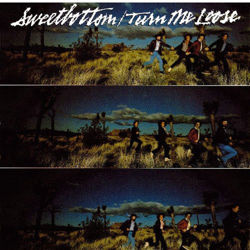 Sweetbottom : Turn Me Loose (LP, Album, SP )