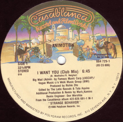 Animotion : I Want You (12", Promo)