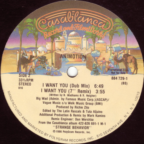 Animotion : I Want You (12", Promo)