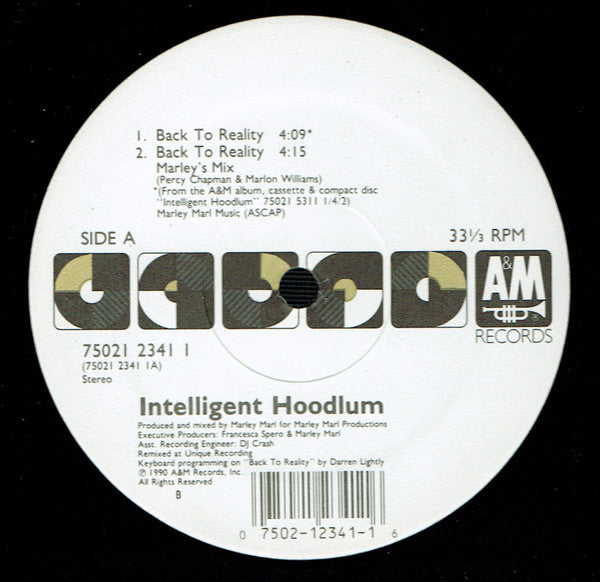 Intelligent Hoodlum : Back To Reality (12")