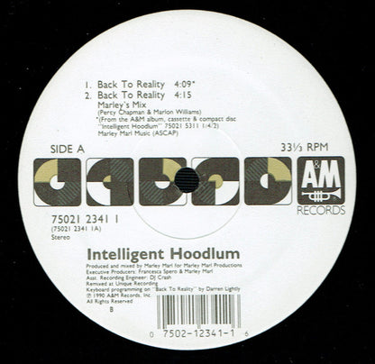 Intelligent Hoodlum : Back To Reality (12")
