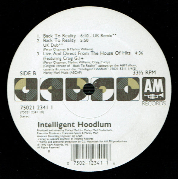 Intelligent Hoodlum : Back To Reality (12")