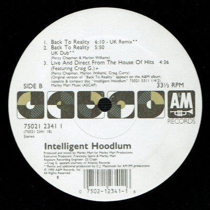 Intelligent Hoodlum : Back To Reality (12")