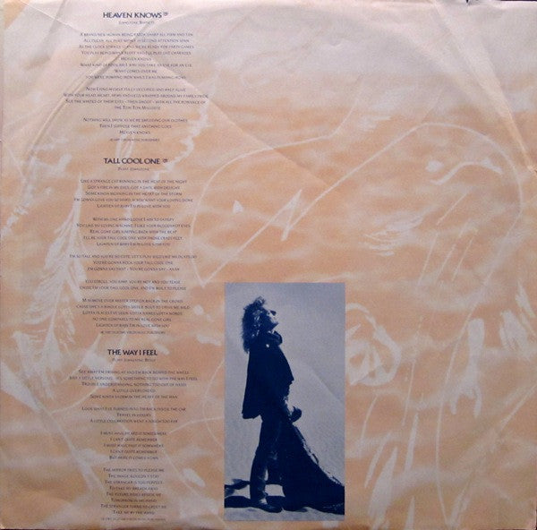Robert Plant : Now And Zen (LP, Album, Club)