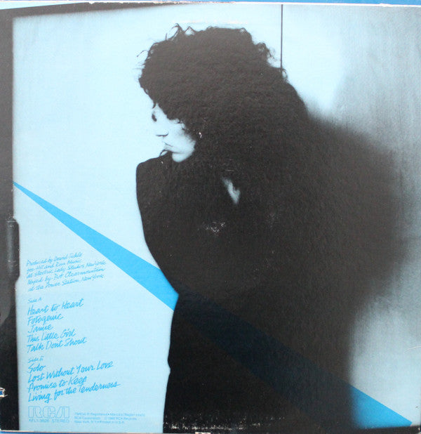 Ellen Shipley : Breaking Through The Ice Age (LP, Album, Ind)