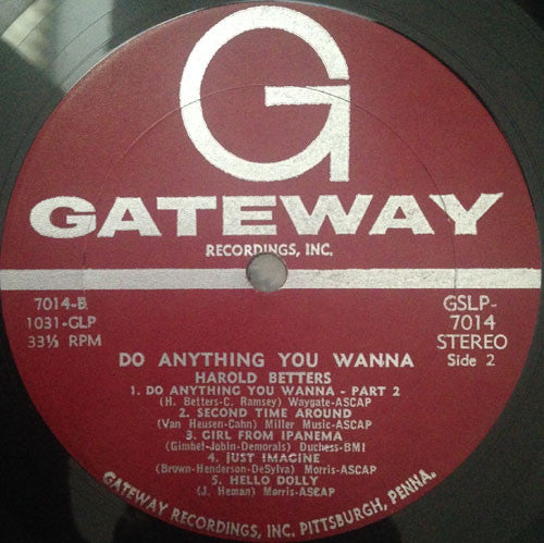 Harold Betters : Do Anything You Wanna (LP, Album)