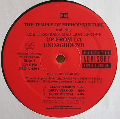 The Temple Of Hiphop : Up From Da Undaground / We Gon' Ride (12", Promo)