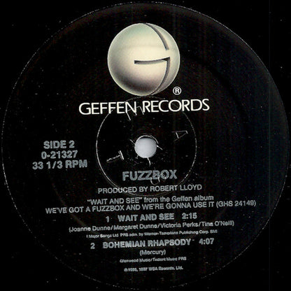 We've Got A Fuzzbox And We're Gonna Use It : Self! (12", Maxi)