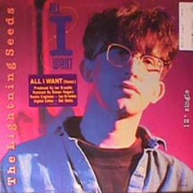 Lightning Seeds : All I Want (12", Single)