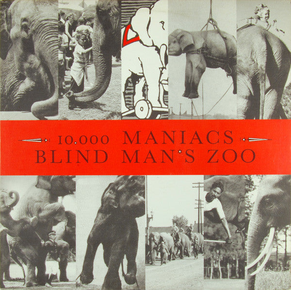 10,000 Maniacs : Blind Man's Zoo (LP, Album, SRC)
