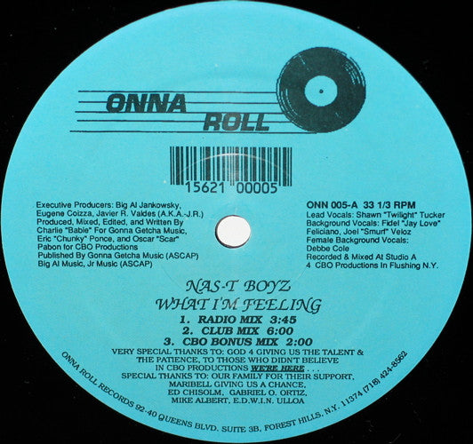 Nas-T Boyz : What I'm Feeling (12")