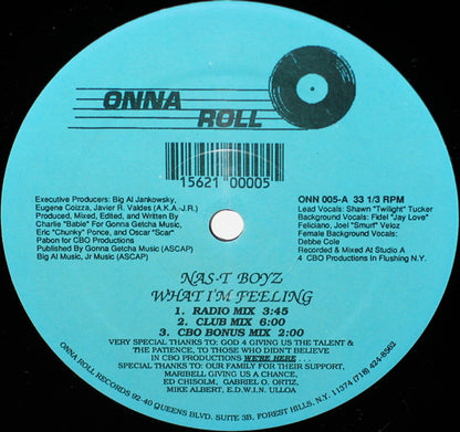 Nas-T Boyz : What I'm Feeling (12")