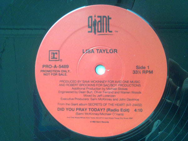 Lisa Taylor : Did You Pray Today? (12", Promo)