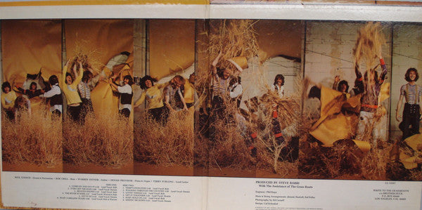 The Grass Roots : More Golden Grass (LP, Comp, Pit)