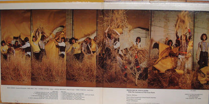 The Grass Roots : More Golden Grass (LP, Comp, Pit)