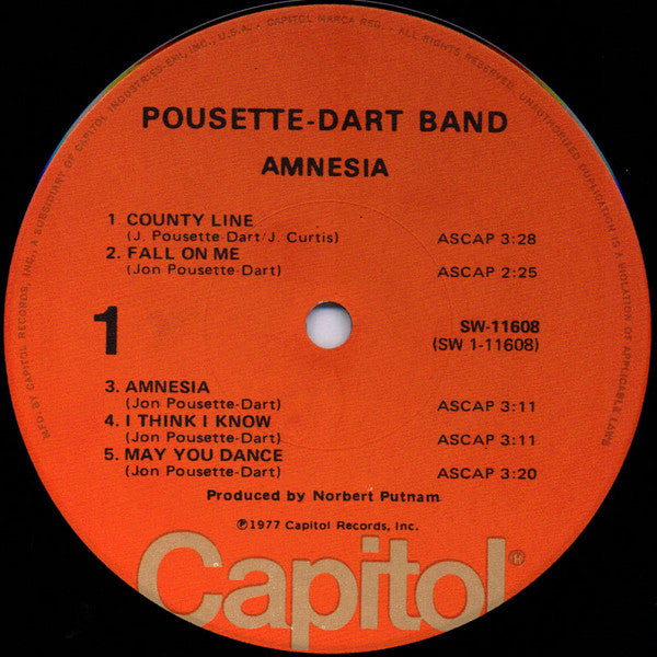 Pousette-Dart Band : Amnesia (LP, Album, Jac)