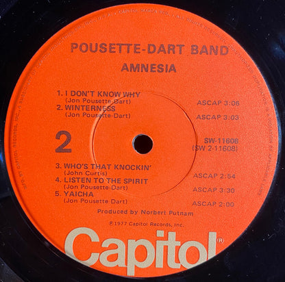 Pousette-Dart Band : Amnesia (LP, Album, Jac)