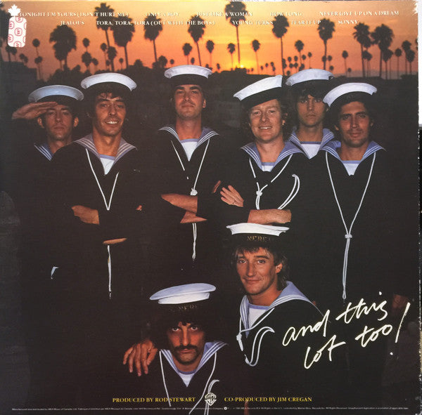 Rod Stewart : Tonight I'm Yours (LP, Album)