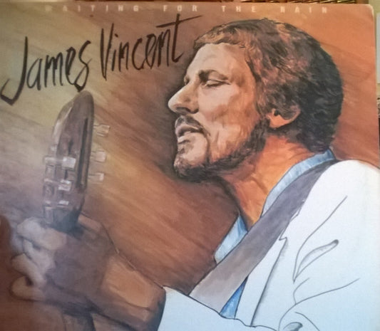James Vincent : Waiting For The Rain (LP, Album, RE)