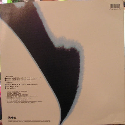 The Beatmasters : Dunno What It Is (About You) (12", Maxi)