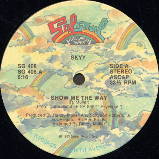 Skyy : Show Me The Way (12", Single)