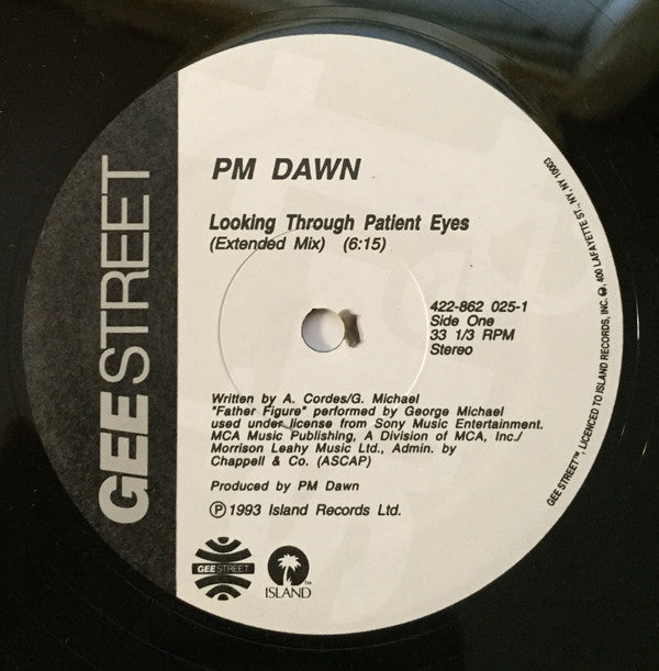 P.M. Dawn : Looking Through Patient Eyes (12")