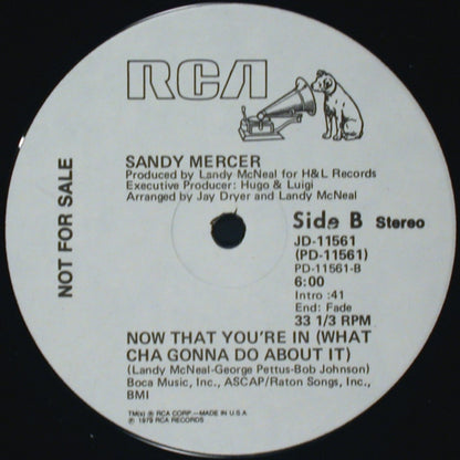 Sandy Mercer : Work Your Body (Work That Body) (12", Promo)