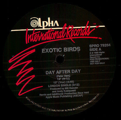 Exotic Birds : Day After Day (12", Maxi, Promo)
