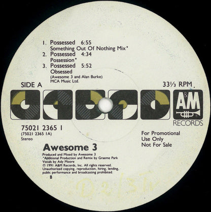 Awesome 3 : Possessed / Pin-Up Girls (12")