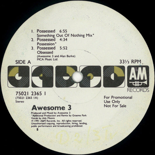 Awesome 3 : Possessed / Pin-Up Girls (12")