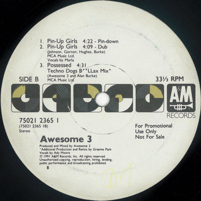 Awesome 3 : Possessed / Pin-Up Girls (12")
